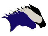 EquiGym - Logo